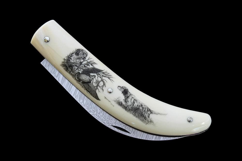 couteau-collection-scrimshaw-chasse-setter-becasse