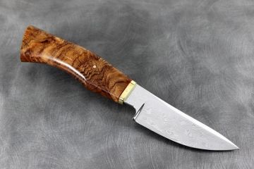 Couteau chasse Skinner loupe d\'orme stabilisé teinté acier damas inox