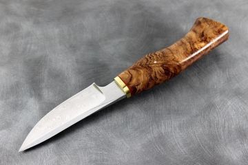 Couteau chasse Skinner loupe d\'orme stabilisé teinté acier damas inox