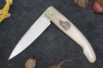 Couteau pliant chasse sanglier, Berger corne blonde acier carbone xc75