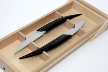 Duo couteaux de table design Eclipse corne noire