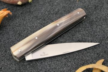 Couteau pliant Espadon 10,5cm lame 14c28 manche corne jaspée