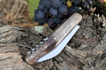 Serpette des vendanges lame acier carbone manche corne de chèvre