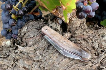 Serpette des vendanges lame acier carbone manche corne de chèvre